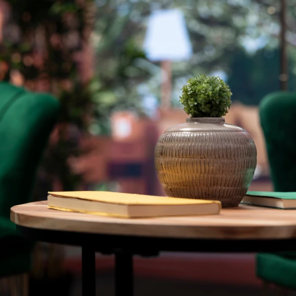 10 Fresh Green Space Ideas to Brighten Your Home