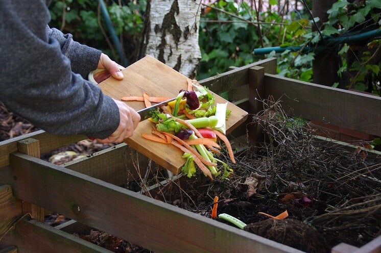 Composting at Home for Beginners