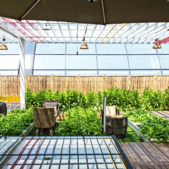 Eco-Friendly Backyard Ideas for a Cozy Outdoor Space