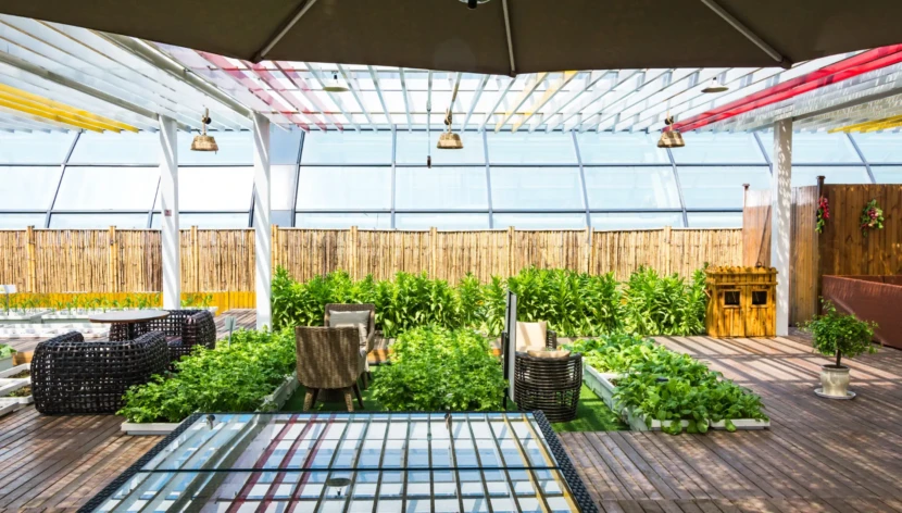 Eco-Friendly Backyard Ideas for a Cozy Outdoor Space