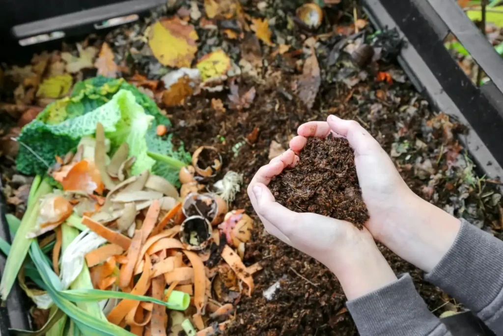 Composting at Home for Beginners Made Simple