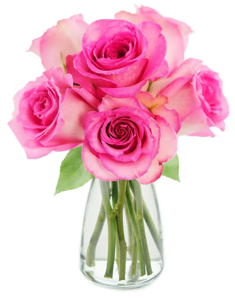  Flowers - Sweet Pink Bouquet of 6 Fresh Cut Pink Roses